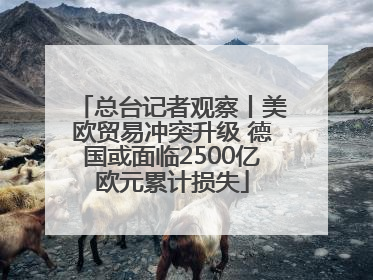 总台记者观察丨美欧贸易冲突升级 德国或面临2500亿欧元累计损失